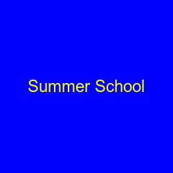 Summer School 2020