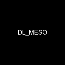 DL_MESO